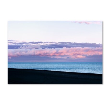 Trademark Fine Art Philippe Sainte-Laudy 'Color Stripe' Canvas Art, 30x47 PSL0660-C3047GG